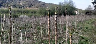 산마루농장님의 작성글 사진