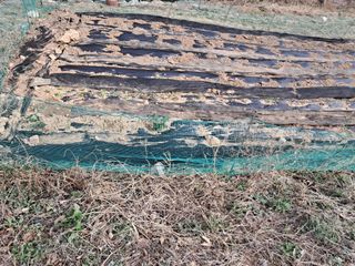 이은주(여성초보농민님의 자유주제 · 자유게시판 작성글 사진