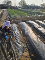 팜모닝 4월 내 작물 자랑하기·참여글 게시글 이미지