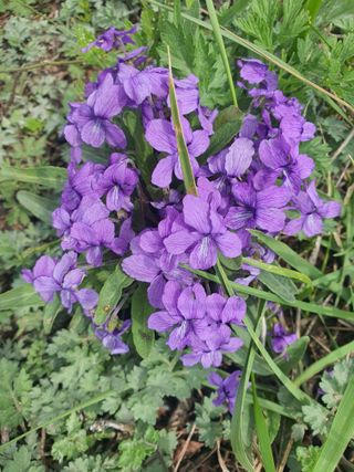 징금다리님의 4월 내 작물 자랑하기 · 참여글 작성글 사진