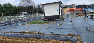 박동현님의 4월 내 작물 자랑하기 · 참여글 작성글 사진