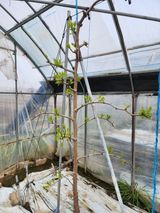 팜모닝 자유주제·자유게시판 게시글 이미지