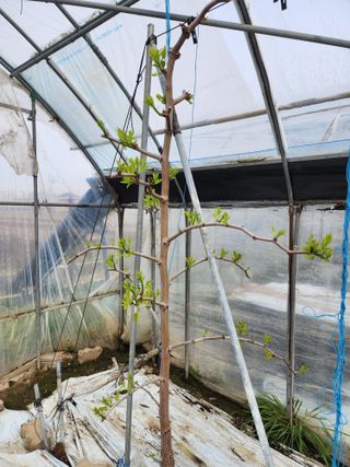 대추 9544님의 자유주제 · 자유게시판 작성글 사진