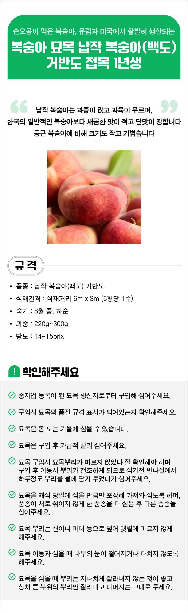 팜모닝 산지직송님의 장터 판매 상품 [복숭아 묘목 납작 복숭아(백도) 거반도 접목 1년생] 첨부 사진