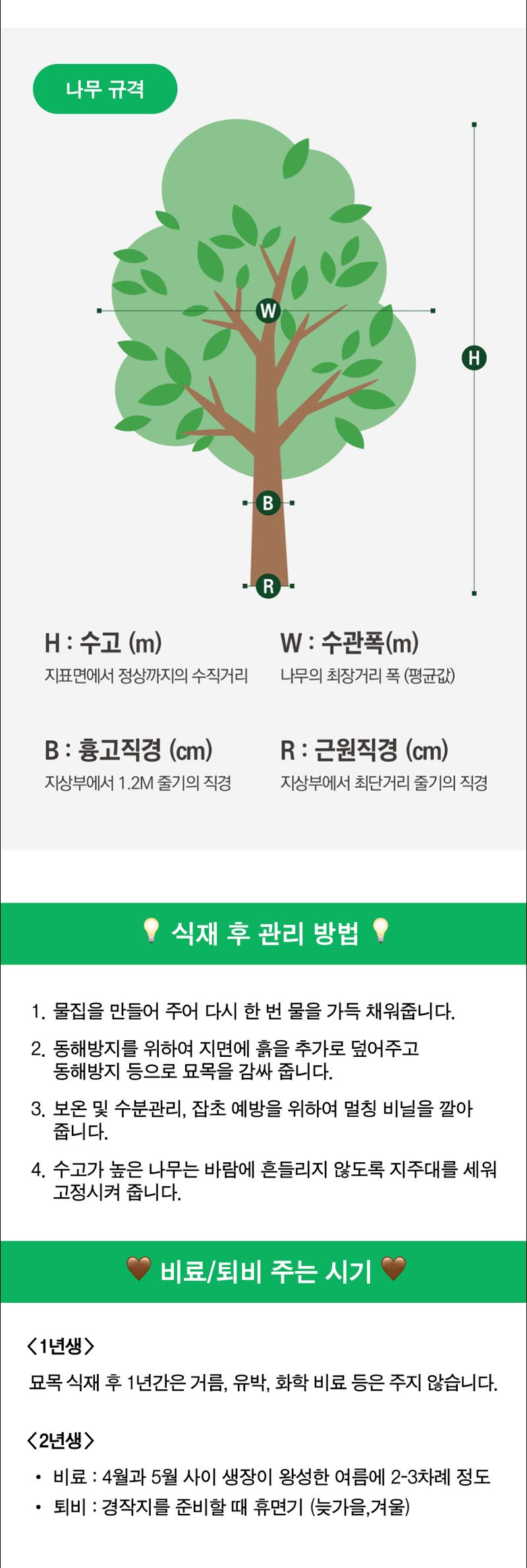 팜모닝 산지직송님의 장터 판매 상품 [복숭아 묘목 납작 복숭아(백도) 거반도 접목 1년생] 첨부 사진