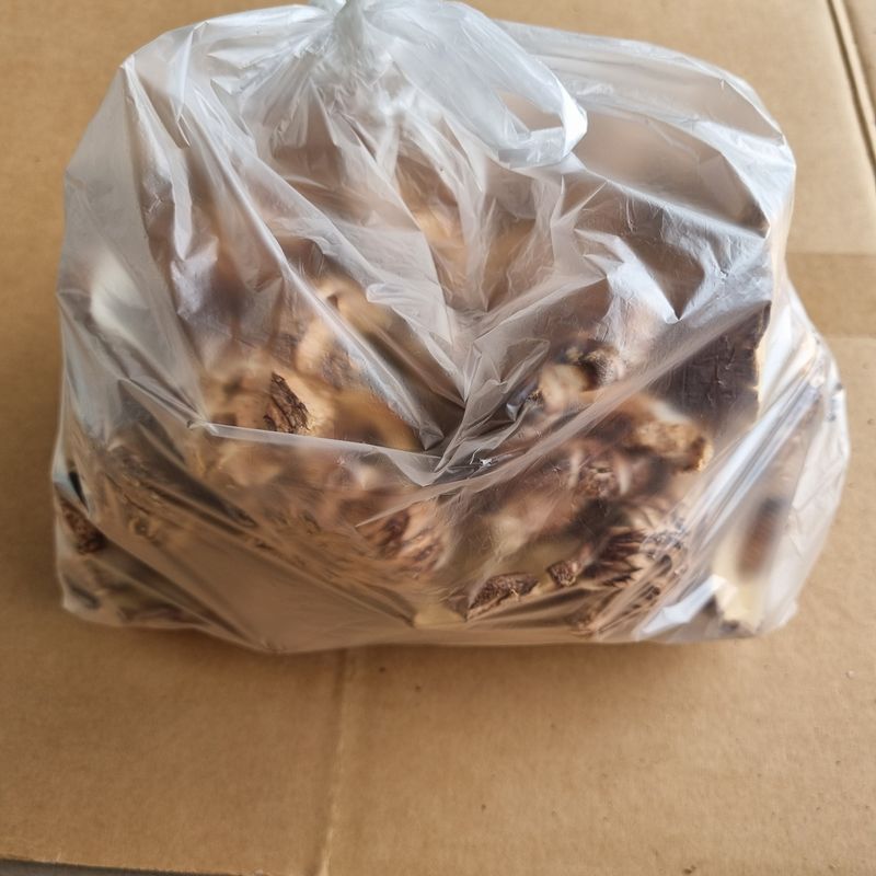 훈&팜님의 장터 판매 상품 [순수자연산표고버섯] 첨부 사진