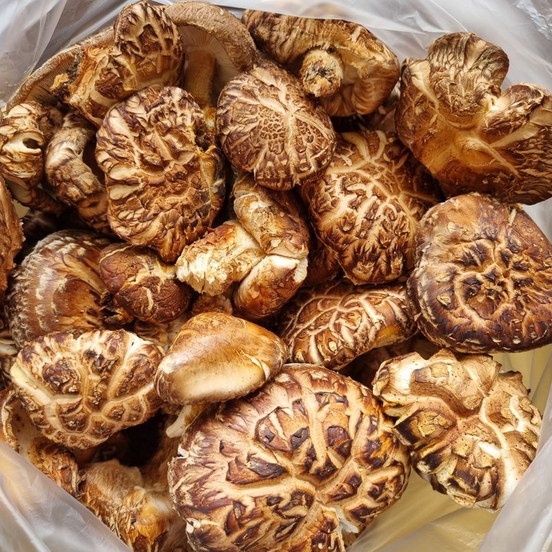 장터 상품 [순수자연산표고버섯] 썸네일