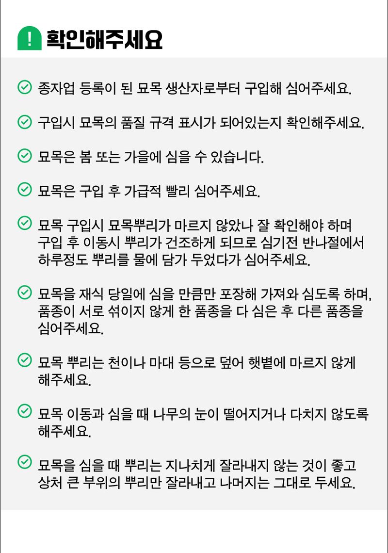 팜모닝 상점님의 장터 판매 상품 [복숭아 묘목 천중도 백도 접목 1년생] 첨부 사진