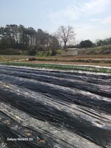 팜모닝 감자·영농일지 게시글 이미지