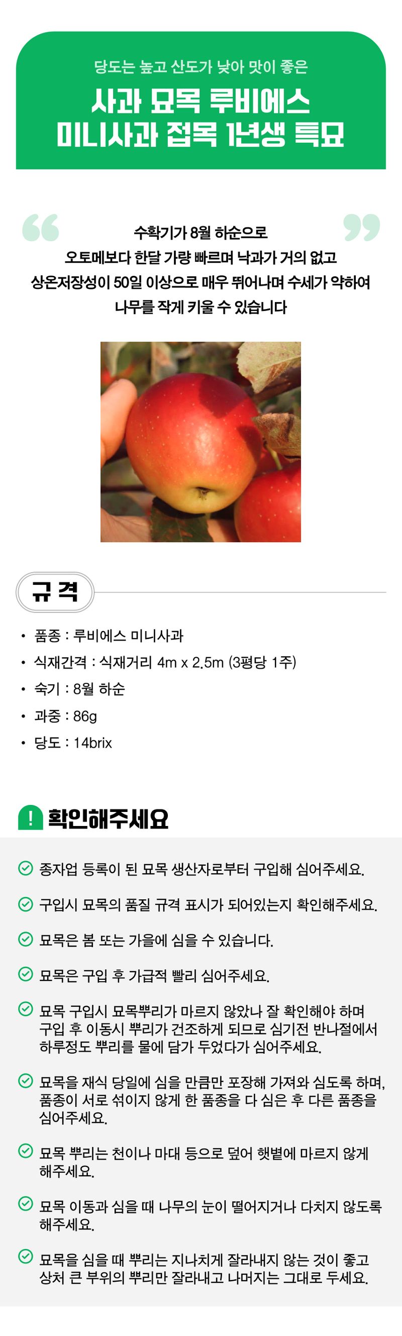 팜모닝 상점님의 장터 판매 상품 [사과 묘목 루비에스 미니사과 접목 1년생 특묘] 첨부 사진