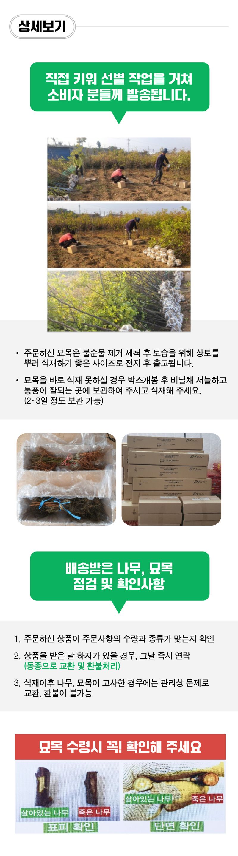 팜모닝 상점님의 장터 판매 상품 [살구 묘목 하코트살구 접목 1년생 특묘] 첨부 사진