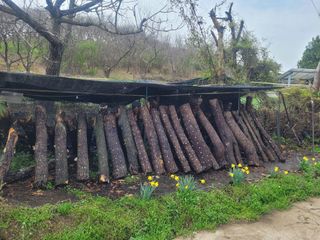 초록농님의 자유주제 · 자유게시판 작성글 사진