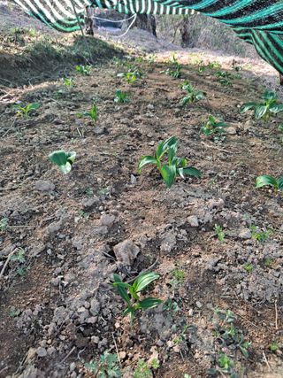 이미자님의 자유주제 · 칭찬해요 작성글 사진