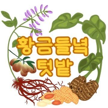 장터 상품 [왕토란/단삼 모종용및모종 예약 판매 합니다 ] 썸네일