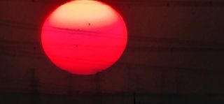 박동현님의 작성글 사진