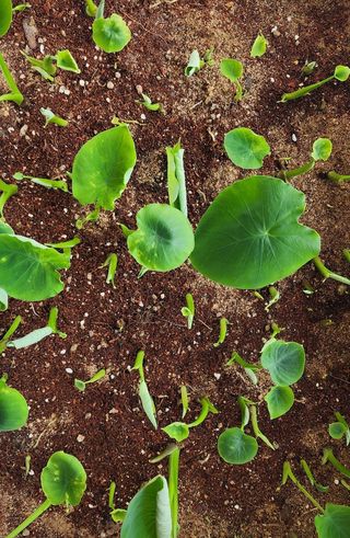 박동현님의 작성글 사진