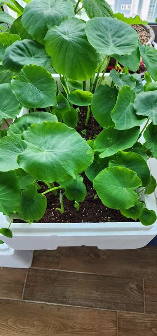 박동현님의 작성글 사진