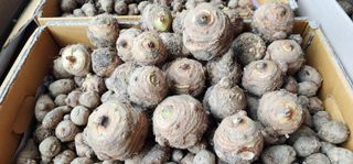 박동현님의 작성글 사진