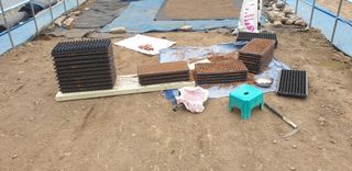 알 수 없음님의 옥수수 · 영농일지 작성글 사진