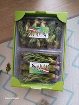 팜모닝 두릅·영농일지 게시글 이미지