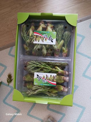 덕촌님의 두릅 · 영농일지 작성글 사진