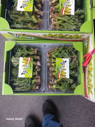 덕촌님의 두릅 · 영농일지 작성글 사진