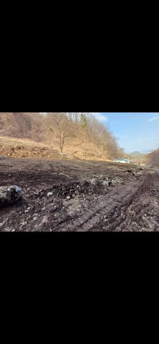 대파14665님의 고추 · 영농일지 작성글 사진