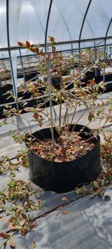 팜모닝 4월 내 작물 자랑하기·참여글 게시글 이미지