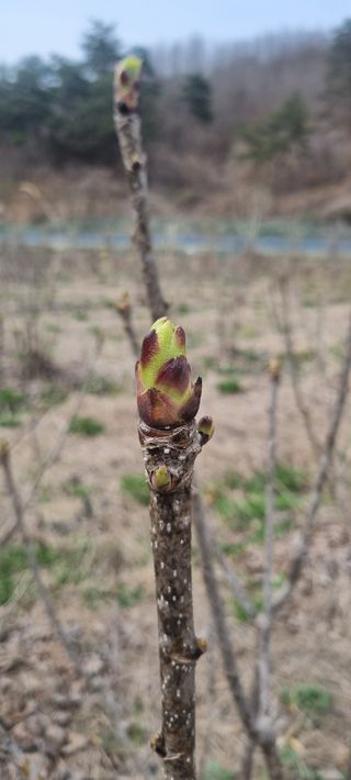 박승수님의 작성글 사진