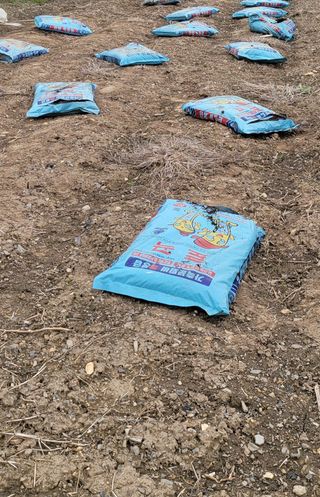 충남금산-김정섭님의 자유주제 · 자유게시판 작성글 사진