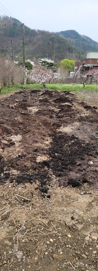 충남금산-김정섭님의 자유주제 · 자유게시판 작성글 사진