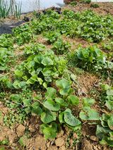 팜모닝 자유주제·건의해요 게시글 이미지