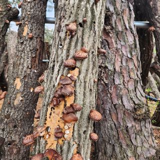 헤라여신^^♡님의 4월 내 작물 자랑하기 · 참여글 작성글 사진