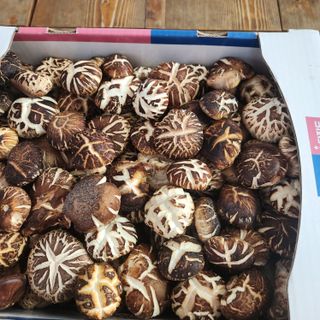 헤라여신^^♡님의 4월 내 작물 자랑하기 · 참여글 작성글 사진