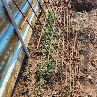 헤라여신^^♡님의 4월 내 작물 자랑하기 · 참여글 작성글 사진