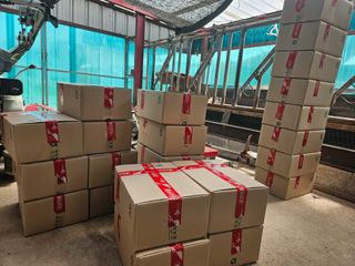 전봉우(채미농원)님의 4월 내 작물 자랑하기 · 참여글 작성글 사진