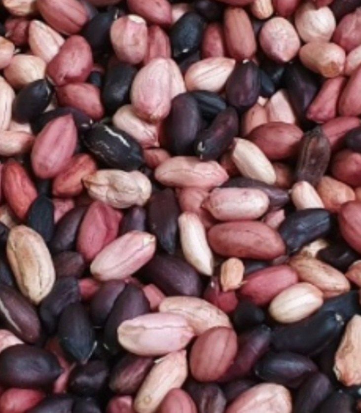 장터 상품 [자연건조 껍질땅콩 (완료)] 썸네일