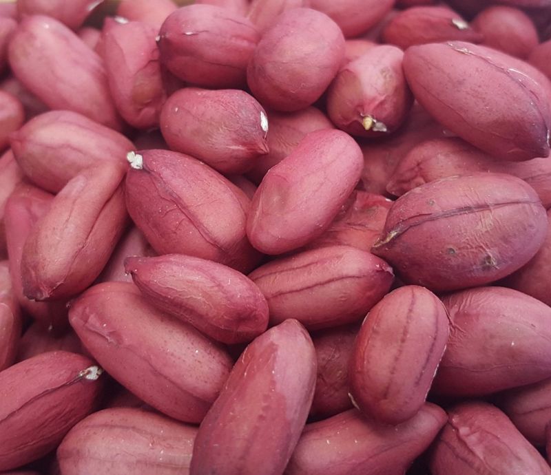 오색땅콩님의 장터 판매 상품 [자연건조 껍질땅콩 (완료)] 첨부 사진