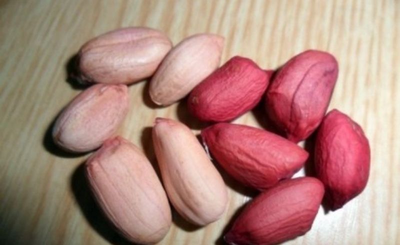 오색땅콩님의 장터 판매 상품 [자연건조 껍질땅콩 (완료)] 첨부 사진