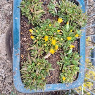 삼성농산님의 자유주제 · 자유게시판 작성글 사진