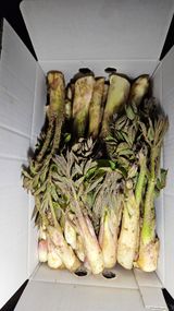 팜모닝 · 게시글 이미지