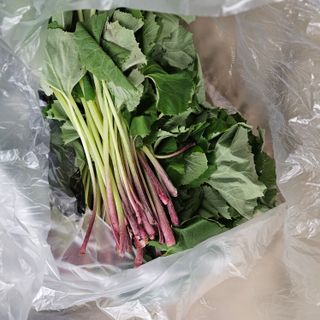 강옥만님의 작성글 사진