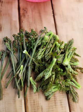 이숲농원님의 자유주제 · 사진전 작성글 사진