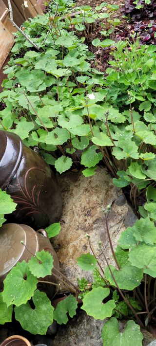 이숲농원님의 자유주제 · 사진전 작성글 사진