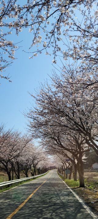 이숲농원님의 자유주제 · 사진전 작성글 사진