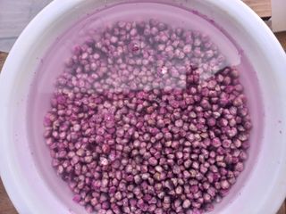 박린님의 자유주제 · 자유게시판 작성글 사진