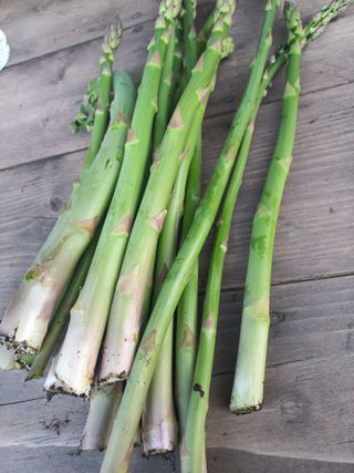 박린님의 자유주제 · 자유게시판 작성글 사진