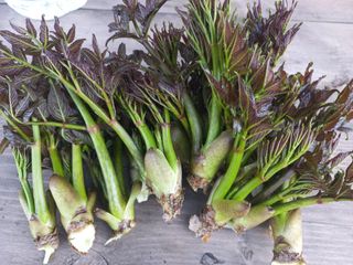 박린님의 자유주제 · 자유게시판 작성글 사진