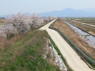 박린님의 자유주제 · 자유게시판 작성글 사진