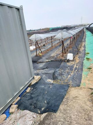 상훈경영체등록5년차님의 포도 · 자유게시판 작성글 사진